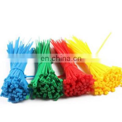 100pcs/bag Colorful Plastic Self-Locking Nylon Wire Cable Zip Ties
