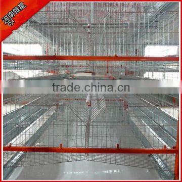 H type 4 tier battery cages laying hens sale for layer in Algeria