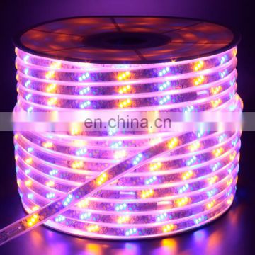2835 led Chips Outdoor Waterproof LED Strip Multicolor  Strip Light tape