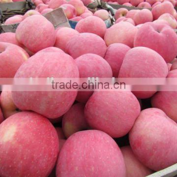 Red Color and Fresh Fuji Apple Fruits