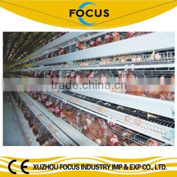 Focus industry hot galvanize layer chicken battery cage for Nigeria market Lagos port