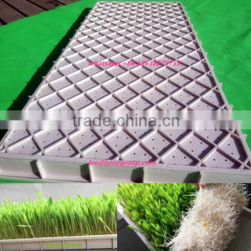PE, PVC barley wheat seed planter trays