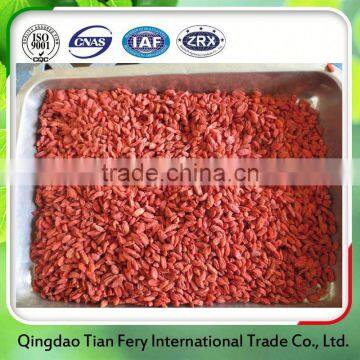 Fresh Goji Berries Export Pakistan