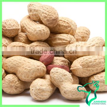 Bulk Peanut In Shell Chinese Origin Peanut