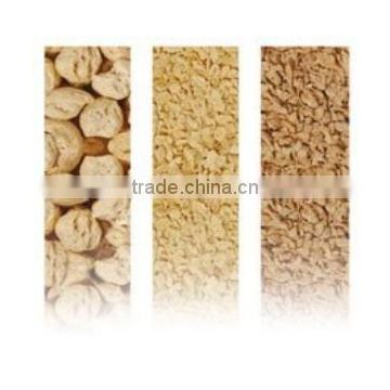 DP65 automatic high efficiency Soya protein making machine/equipment in china