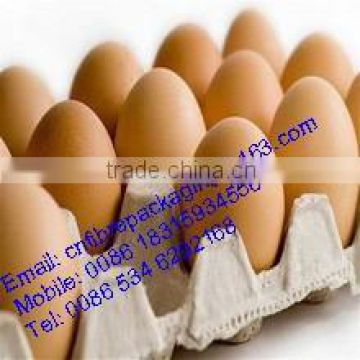 Hot sale Eco-friendly paper pulp egg tray factory