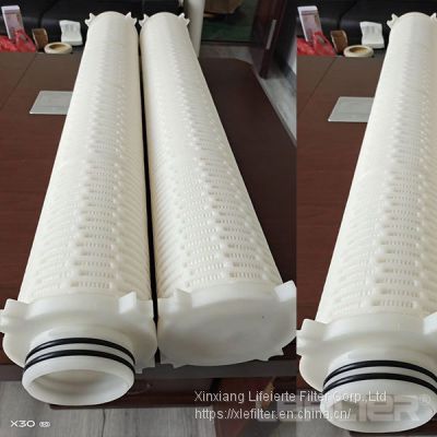 Replace pentair high flow filter cartridge for Processing Water