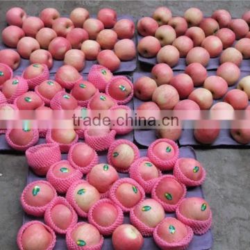 2015 Shandong origin fresh fuji apple