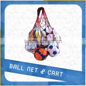 Ball carrying net