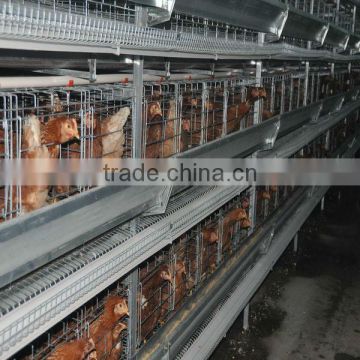 Industry-specific:supply egg chicken layer cages(automatic)quality guarantee