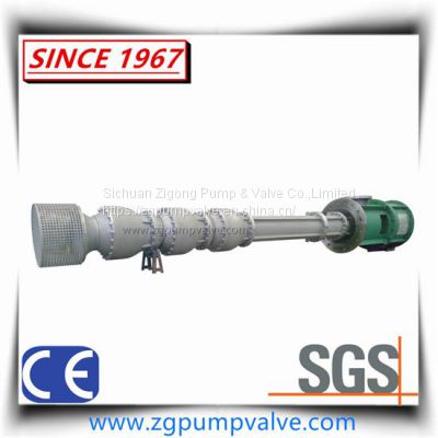Vertical Long Spindle Pump Made of Stainless Steel SS304 Anti-corrosion Submersible Pump