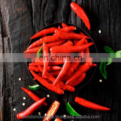 Red Chili (Capsicum frutescens L.)