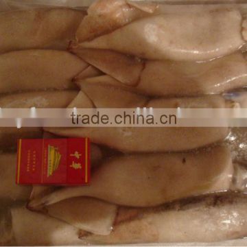 Frozen Chinese Loligo Squid