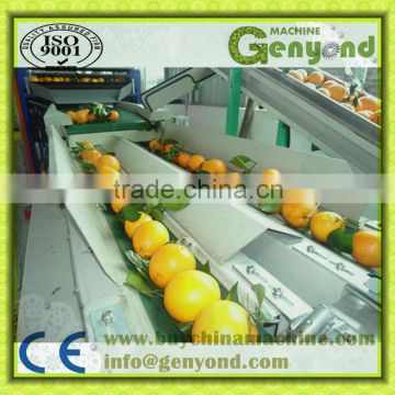 commercial PLC fruit automatic weight classifier