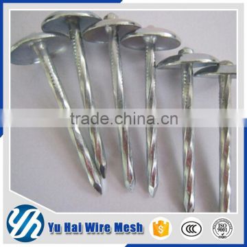 High quality custom asbestos roofing nails factory price                        
                                                                                Supplier's Choice