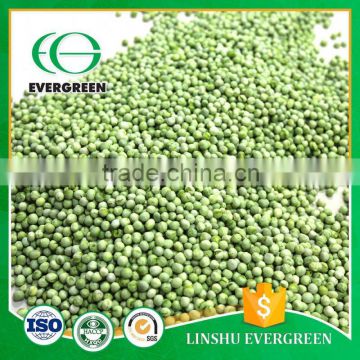 Low Price Frozen FD Green Peas