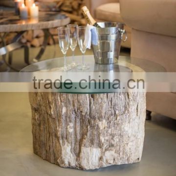 Unique coffee table of a petrified wood trunk