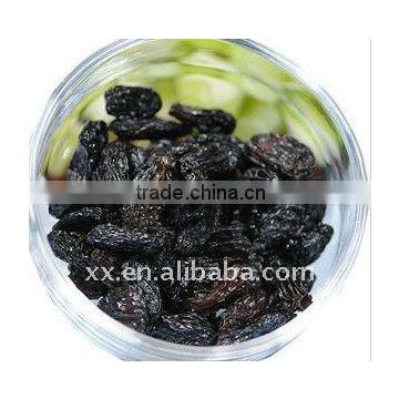 dried black raisin with high quality and hot sale