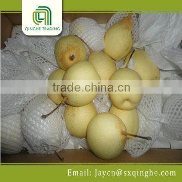 wholesale chinese ya pear fruit