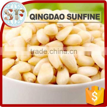 Chinese organic pine nuts kernels supplier