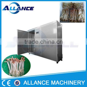 China made little type mung bean sprout machine for sale