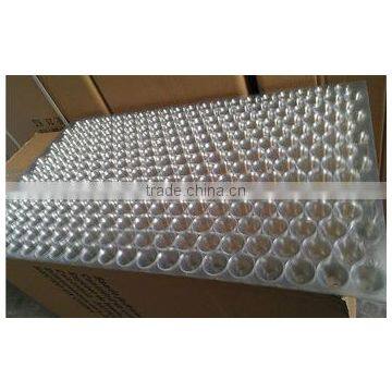 Cost price latest cheap price seedling tray