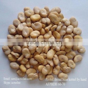 New Crop Broad Beans 60/70 (whole/peeled/split)