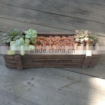 Wooden case shape rectangle cement planter for succulent plants