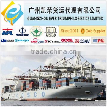 Sea Freight from China to Algeciras, Spain FCL/LCL Shipment