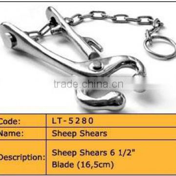Bull Holder / Bull Lead, Stainless Steel veterinary instruments