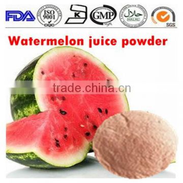 ISO 13 years factory supply food grade Watermelon juice powder