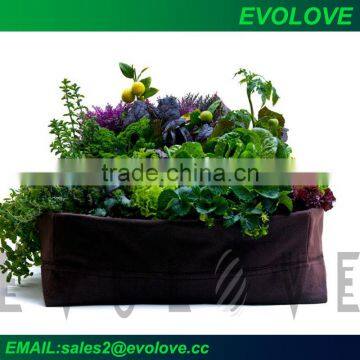 Evolove vegetabale grow planter bag