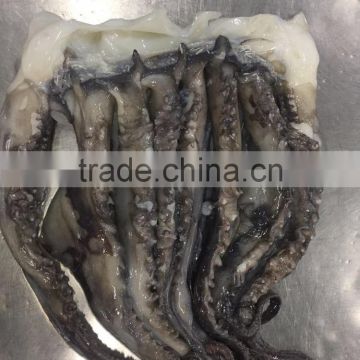 wholesale illex squid head tentacle sleeve fish to exporter