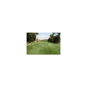 6300Dtex Field Green PE Golf Artificial Grass Lawns