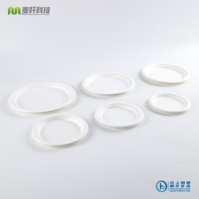 Disposable Biodegradable 6 INCH PLATE Take away Sugarcane  Outdoor dining and painting