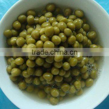 canned green peas in brine choice grade factory in China