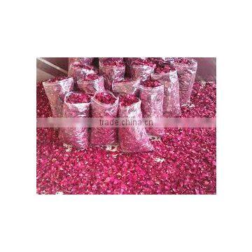 Bulk Supplier of Rose Petals