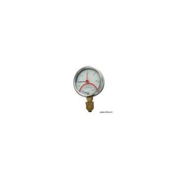 Sell Pressure-Temperature Gauge