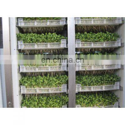 hot Sale Automatic bean soybean mungbean sprout peeling cleaning washing growing making machine