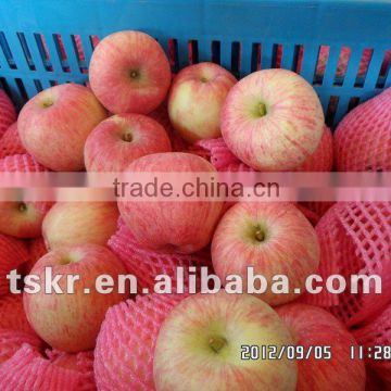 new zealand apple red apple fuji