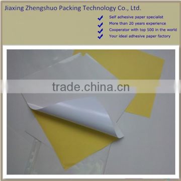 High quality self adhesive mirror coated paper roll with free samples