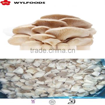 wholesale price frozen oyster mushroom