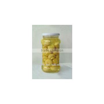 canned champions mushroom in jar for sale