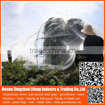 100% virgin hdpe with uv greenhouse insect net , plastic agriculture pe anti-insect net , nylon insect net with low price