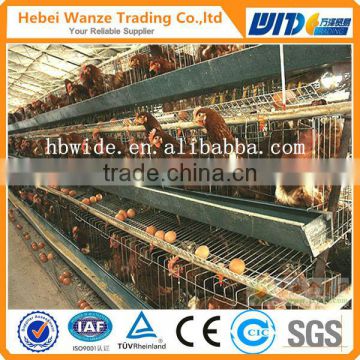 China factory supply high quality folding egg chicken cage/1.95meters length,90-120chickens per set chicken nest/full-automation