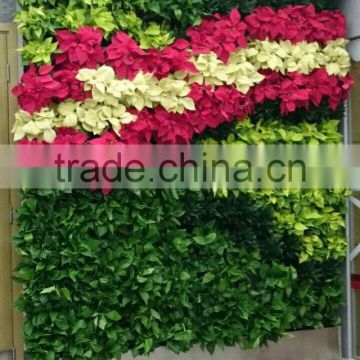 New product plastic palnter hydroponics grow for wholesale