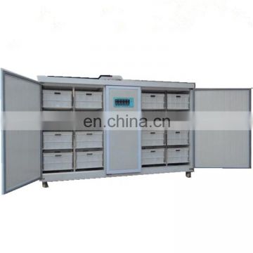 China factory supply good for sale automatic mung bean growing sprout machine