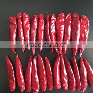 Tian ying dried red Chilli