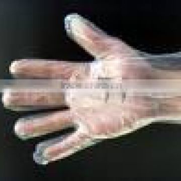 disposable ldpe glove