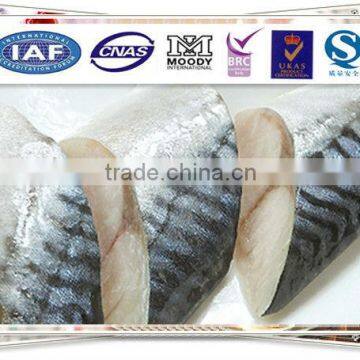 Frozen food ( Frozen Mackerel Portion)